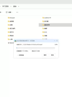 [自行打包] 雷电将军单人合集 [21v+11.8gb][百度盘]