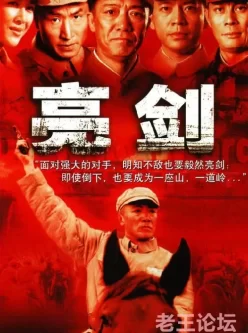 亮剑（2005）4 K高清收藏版 2160P 全30集 国语中字 经典抗日神剧